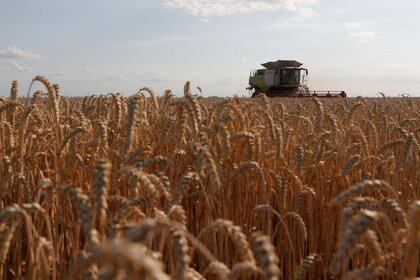 IMAGEN DE ARCHIVO. Una cosechadora de trigo en un campo cerca de la localidad de Hrebeni, en la Región de Kiev, en Ucrania. Julio 17, 2020. REUTERS/Valentyn Ogirenko