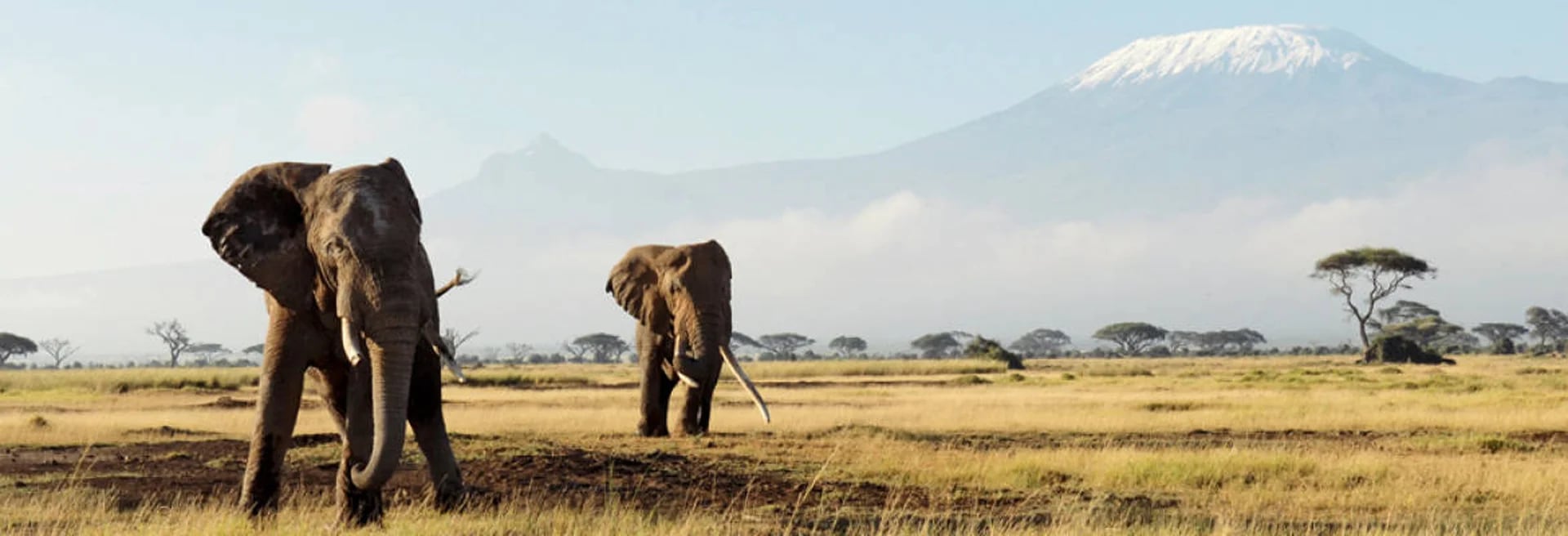 La atracción principal, los safaris más aventureros del mundo