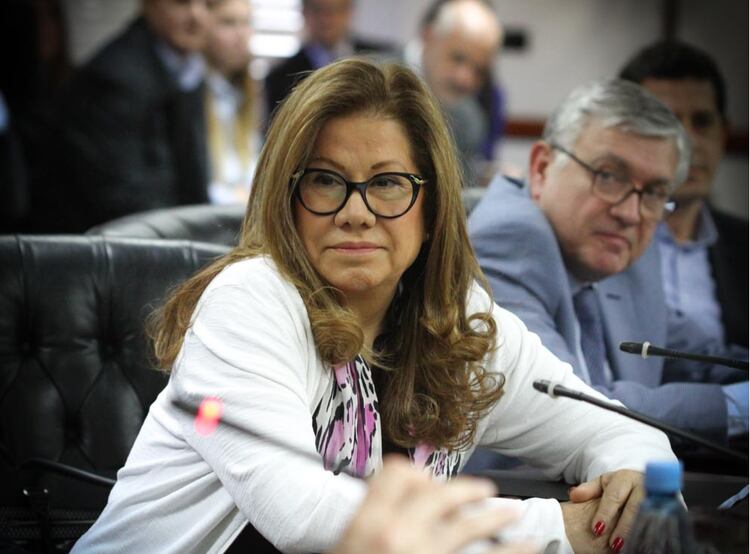 La diputada Graciela Camaño, reelecta por Consenso Federal, tiene mandato por tres años más en el Consejo (Consejo de la Magistratura)