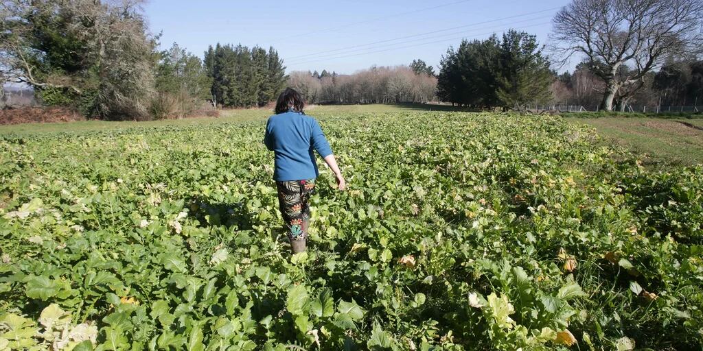 Aumentaron la prestación por desempleo de los trabajadores rurales