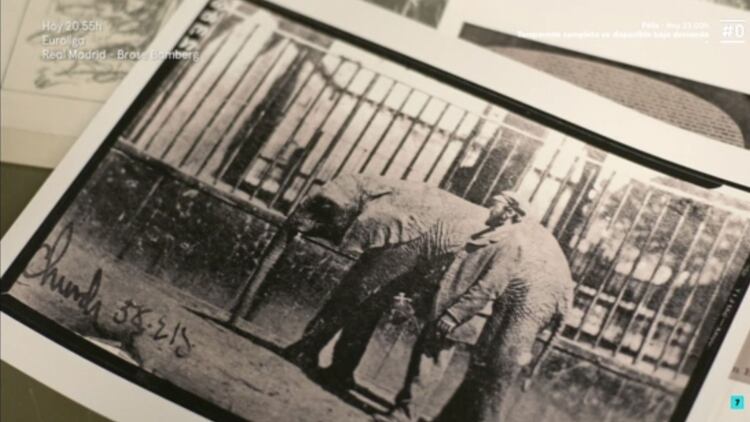 1865. Jumbo llegó al zoológico de Londres siendo un bebé en pésimo estado, lo que generó piedad en Matthew Scott, un trabajador del lugar que se convirtió su cuidador hasta el momento en que el elefante murió. (Imágen: captura documental “Jumbo”, de la BBC)