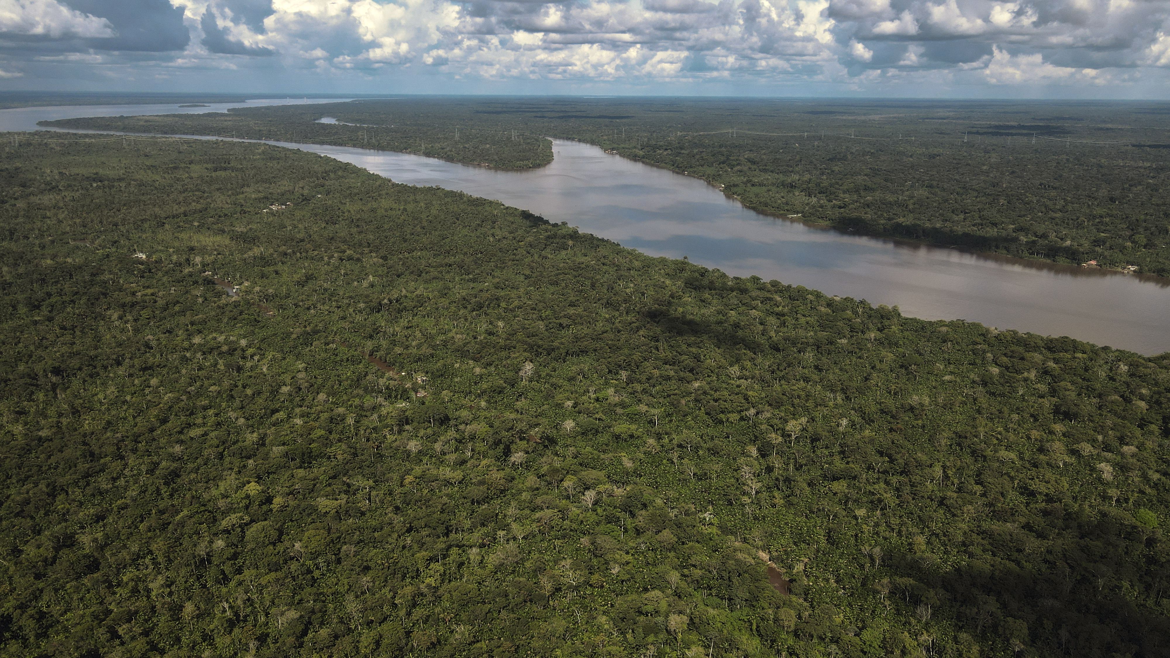 Zona de la Floresta Amazónica en el estado de Pará, norte de Brasil. EFE/ Antonio Lacerda
