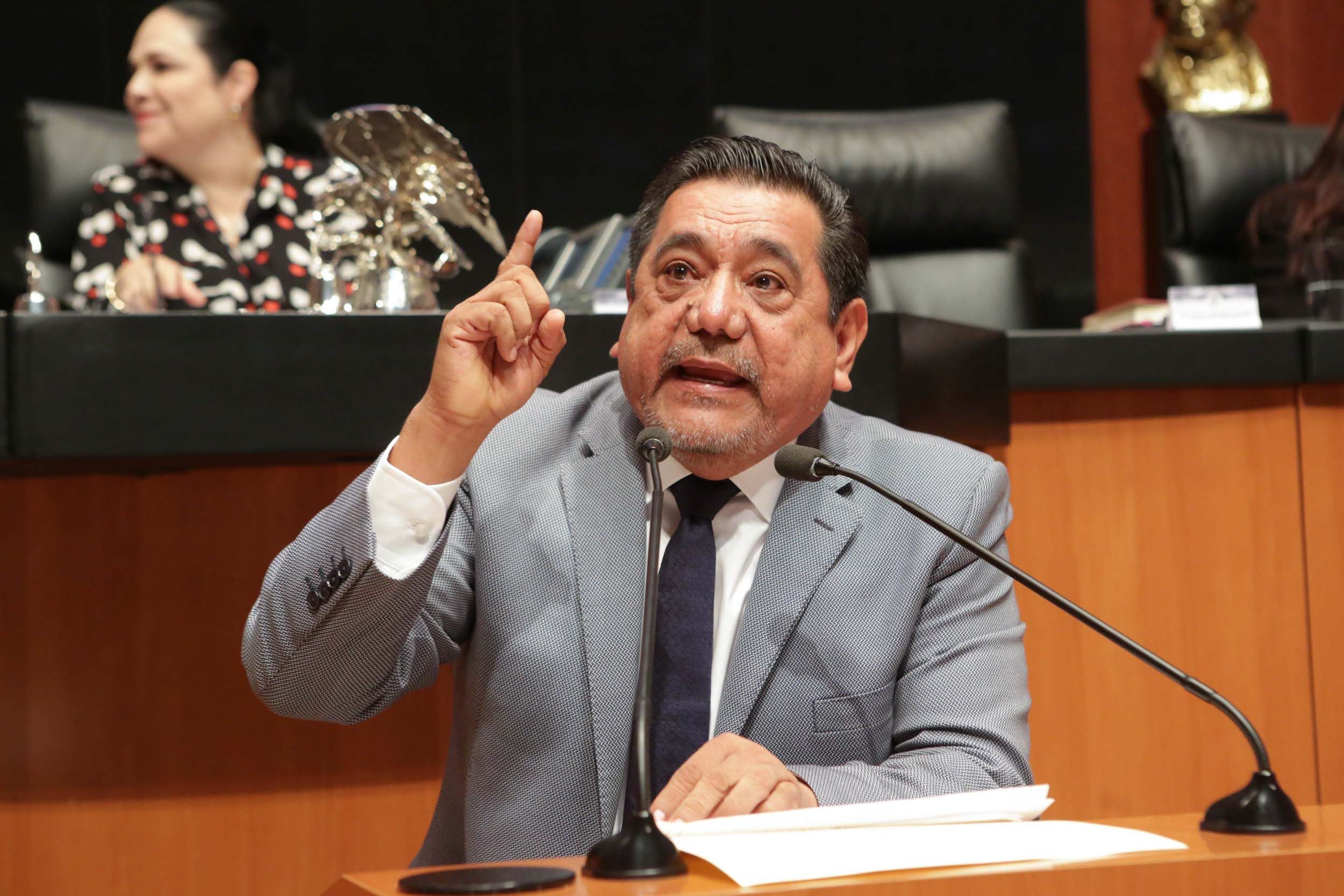 Villavicencio criticó la selección de Salgado Macedonio como candidato de Morena a la gubernatura de Guerrero (Foto: Senado de la República)