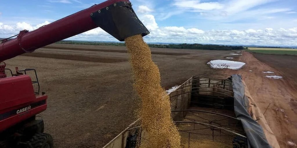 Las inundaciones en Uruguay ponen en riesgo las cosechas de arroz y soja