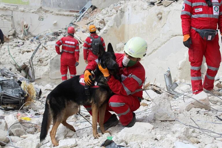  Un miembro del equipo de rescate iraní sostiene a un perro de rescate sobre los escombros de un edificio dañado en Alep 