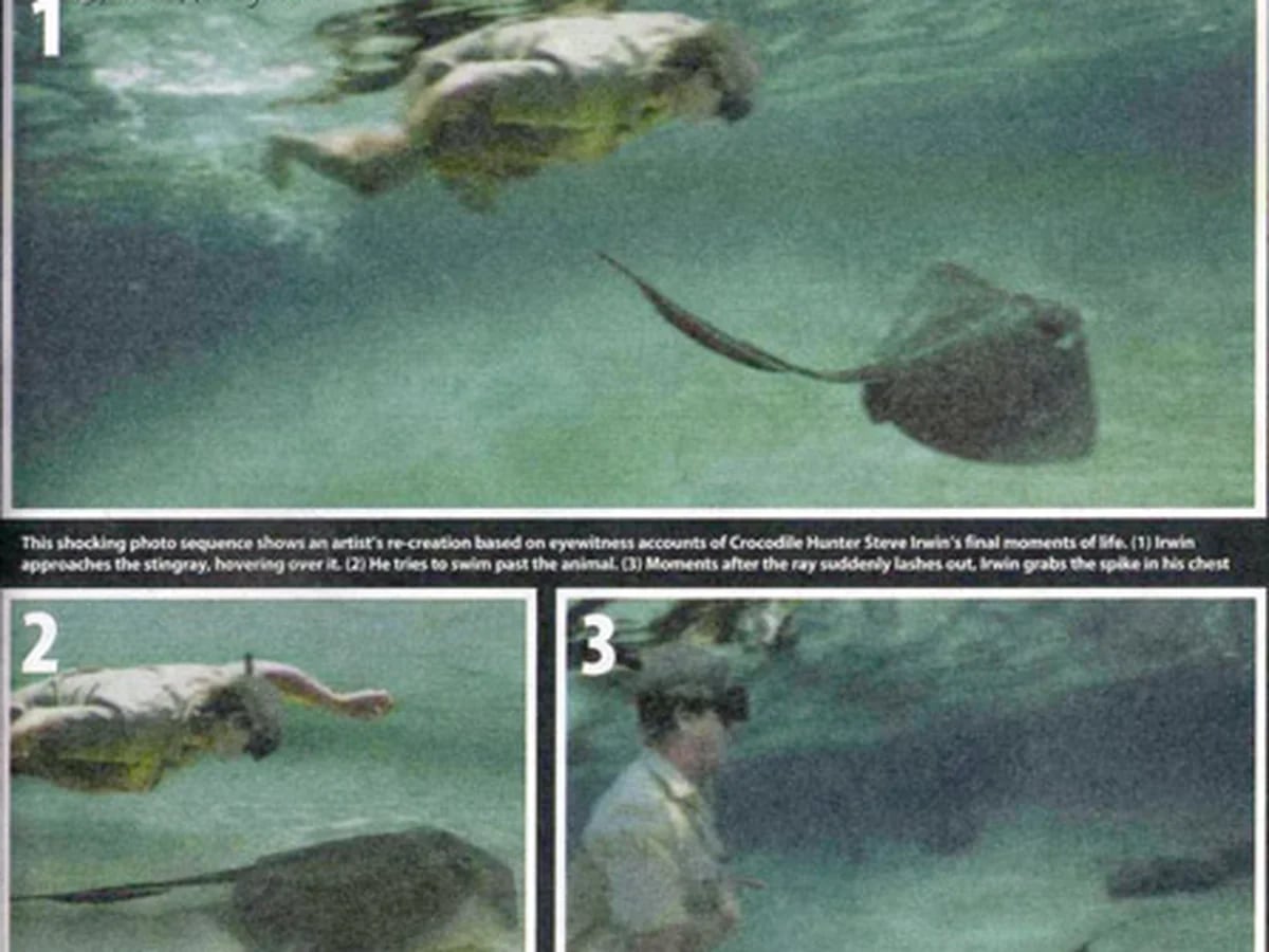 La verdad sobre las supuestas fotos de Steve Irwin - Infobae