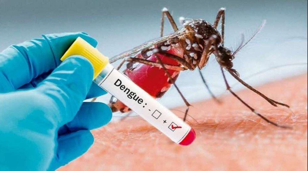 Casos de dengue en Perú sigue en aumento.
