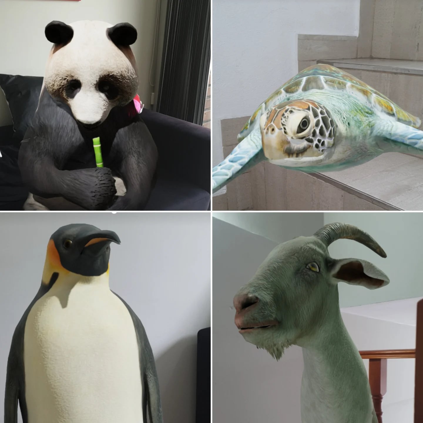 Animales 3D de Google: cómo usarlos para meter un tigre, un tiburón o un  lobo en casa