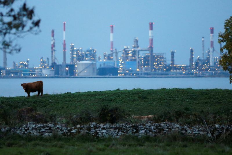 Una vaca frente a una refinería de petróleo en Corsept, al oeste de Francia, Loa gases emitidos por el procesamiento de combustibles fósiles son grandes responsables del calentamiento