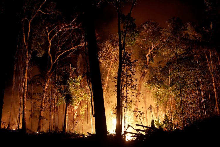 Incendio en el Amazonas. 
