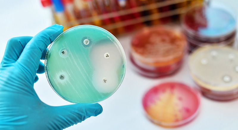 Los investigadores analizaron nueve patógenos, y 43 tipos de agentes antibióticos 