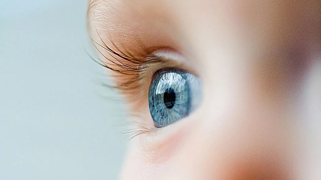 Un test diagnostica amaurosis congénita y retinosis pigmentaria tipo 20. (Shutterstock)