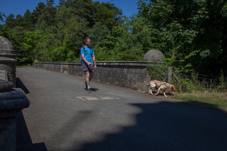 Algunos residentes locales se refieren al Overtoun como el Puente de los Perros Suicidas.(Sophie Gerrard for The New York Times)