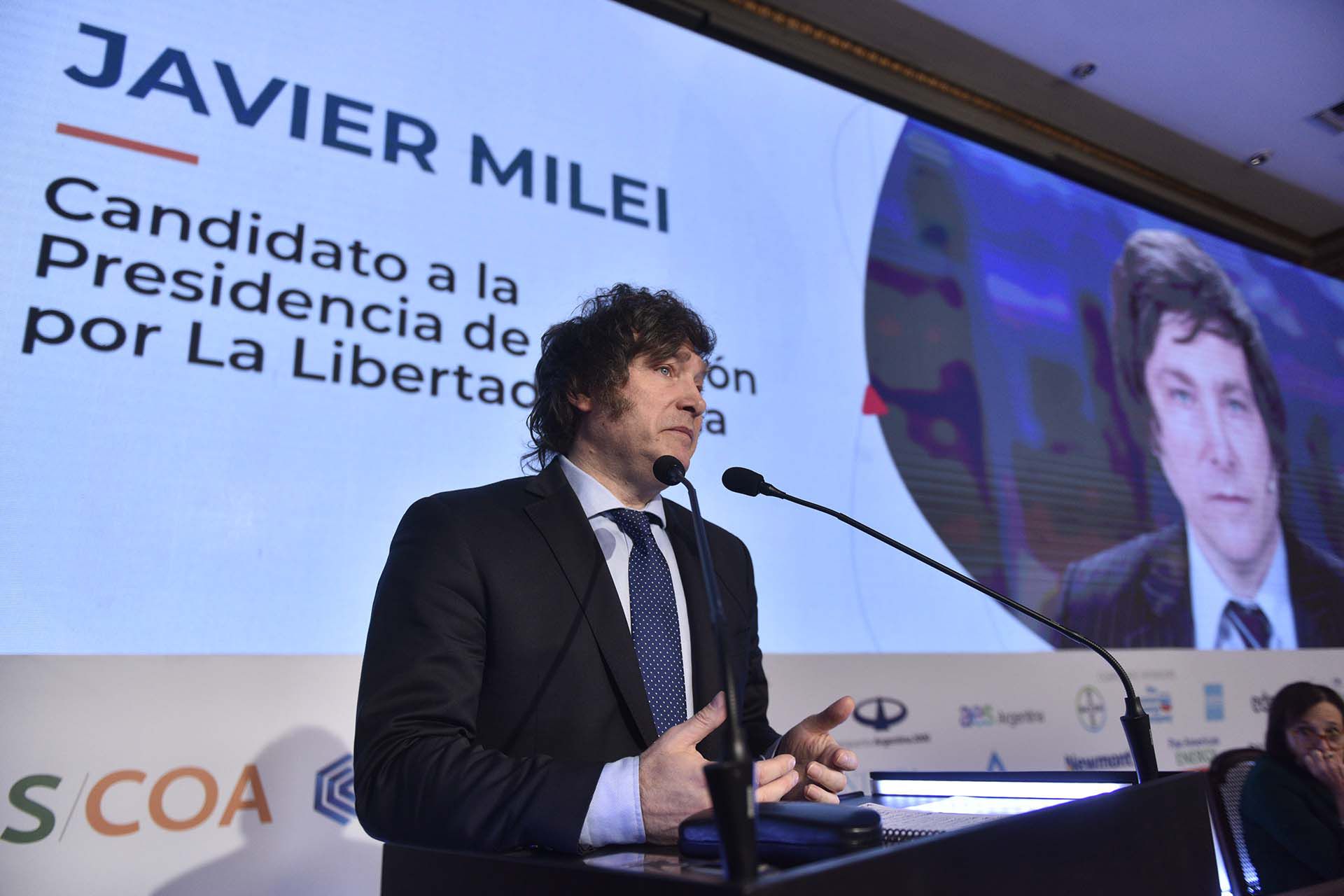 Javier Milei ya anticipó que en su gobierno tendría solamente ocho Ministerios (Adrián Escandar)
