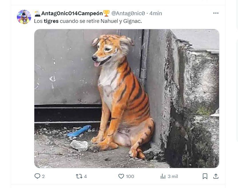 Los mejores memes que dejó la eliminación de Tigres de la Copa de Campeones de Concacaf (Captura X)