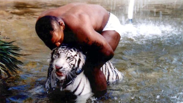 Mike Tyson con el tigre que tenía en su mansión (Shutterstock)