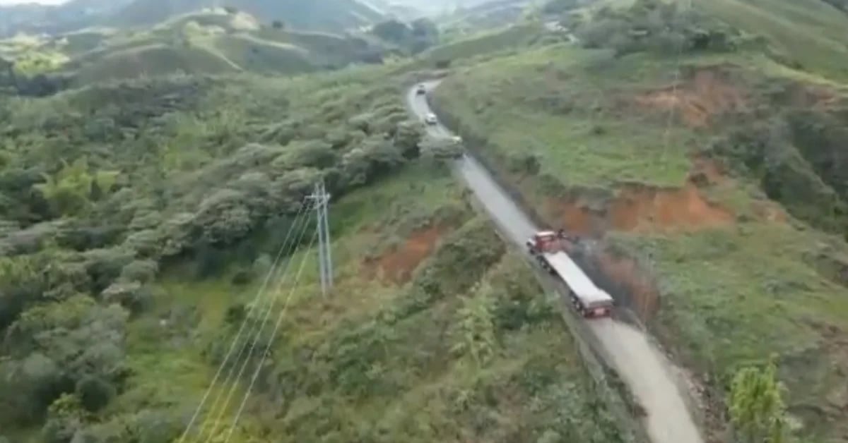 The alternative route to the Pan-American highway, blocked in Cauca, comes into service this Monday: food and passengers will be able to circulate