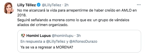 Lilly Téllez aseguró que "seguirá señalando a Morena como lo que es: un grupo de vándalos aliados del crimen organizado (Foto: Twitter@LillyTellez)
