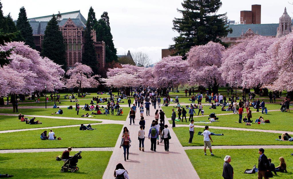 Campus Universidad de Washington Seattle USA