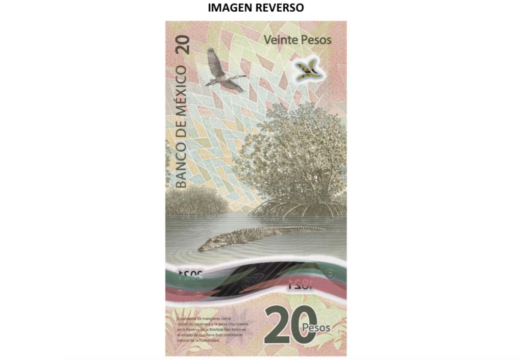 Se trata del primer billete mexicano con formato mixto. (Foto: Banco de México)