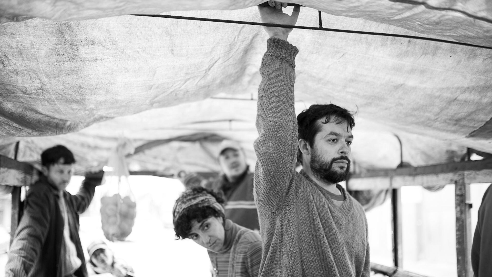 O cão interno do Flow