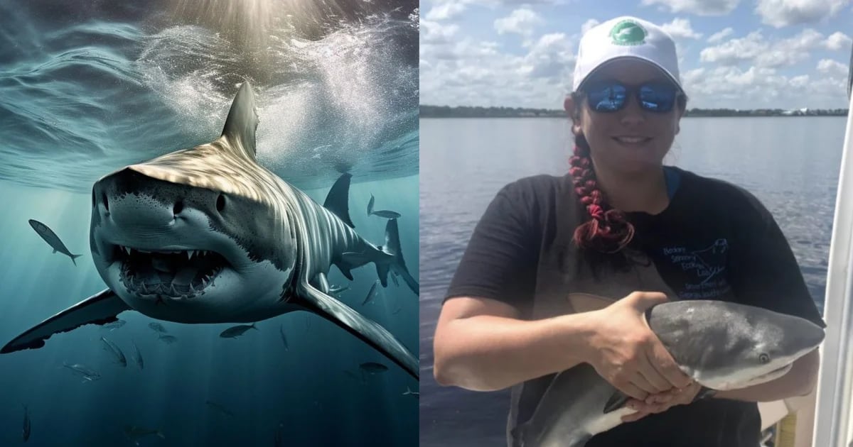 A biology professor has been arrested for diverting hundreds of thousands of dollars from shark research