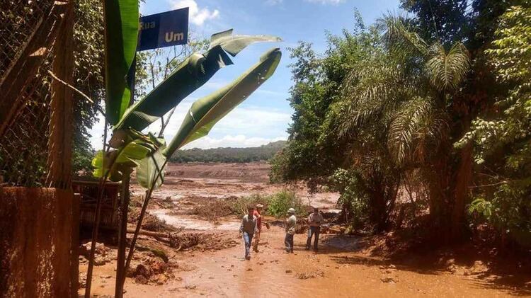 El documento de Vale no dice nada sobre las causas del siniestro (Foto: Cuerpo de Bomberos / DivulgaciÃ³n)