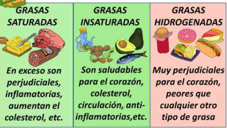 Tipos de grasa