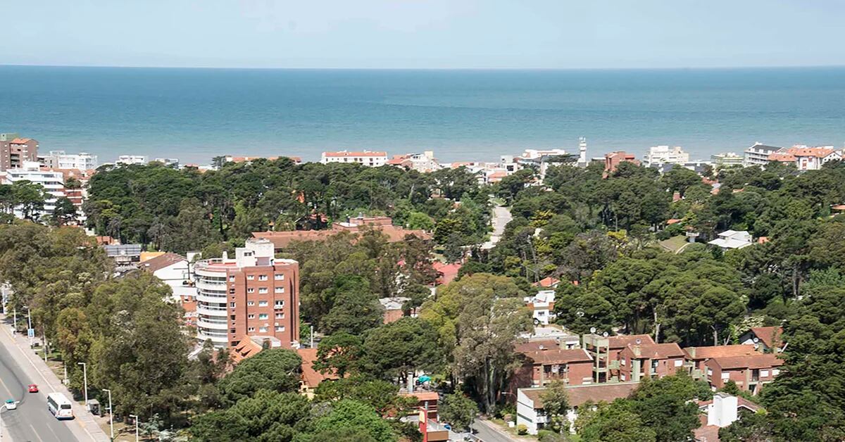 Pinamar: the sale of real estate has increased by 15% compared to last summer, with the appearance of new businesses