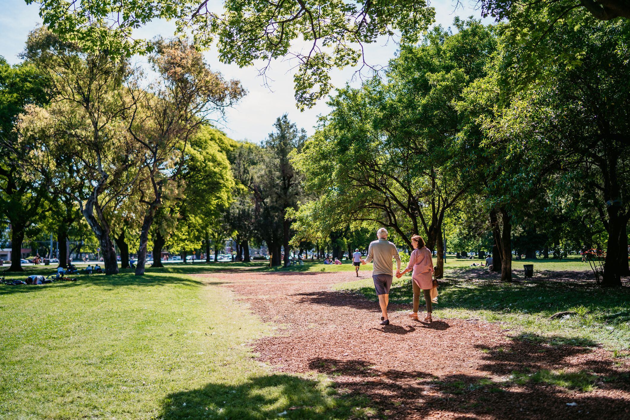 ARBOLES BUENOS AIRES