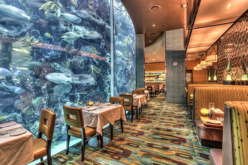El hotel Golden Nugget tiene un restaurante que permite cenar mientras se observa la vida marina dentro del acuario de peces tropicales de casi 300 mil litros de capacidad (foto: gentileza Golden Nugget hotel)