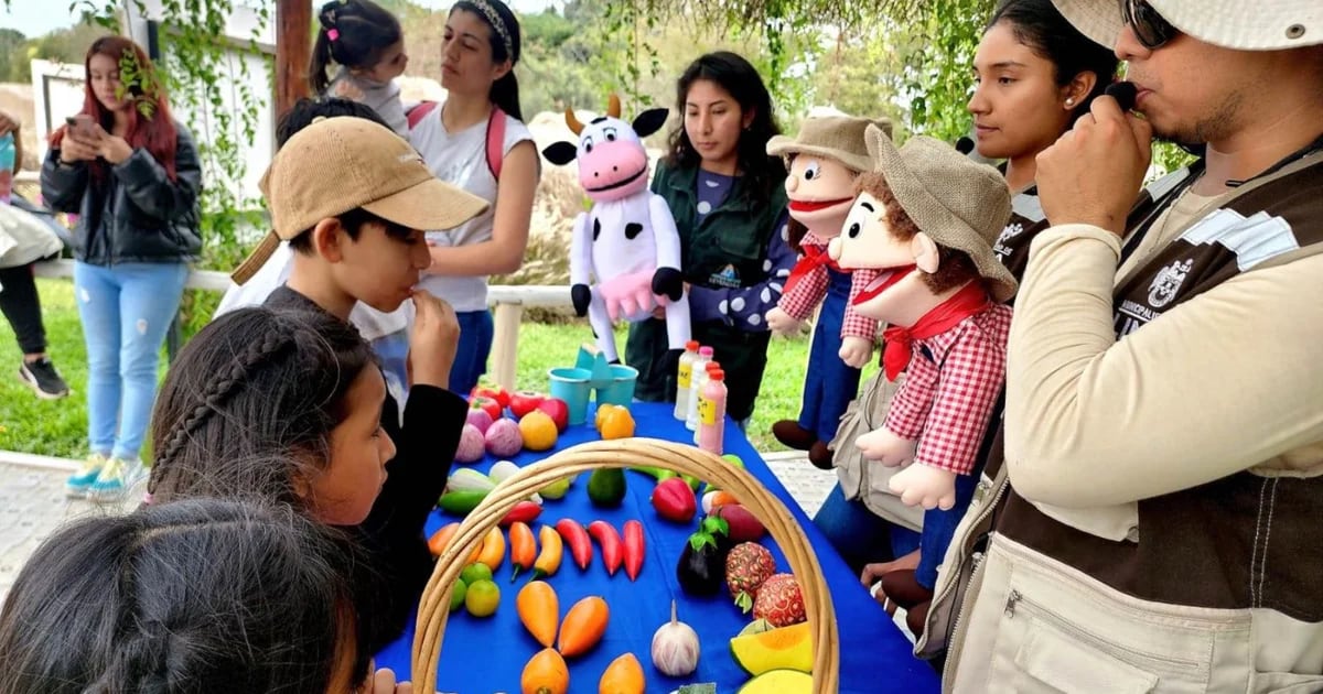 Children’s Day in Peru: Today, August 20, there are a variety of activities and free programs to enjoy with the whole family
