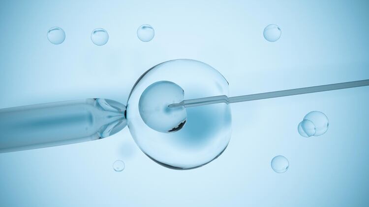 En la Argentina se realizan alrededor de 21 mil tratamientos de fertilización asistida por año (Shutterstock)