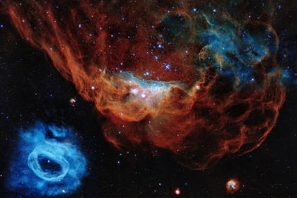 La nebulosa gigante NGC 2014 y su vecina NGC 2020, que juntas forman parte de una vasta región de estrellas en formación en la Gran Nube de Magallanes, una galaxia satélite de la Vía Láctea, a aproximadamente 163,000 años luz de distancia. Es uno de los ejemplos más fotogénicos de los muchos grupos estelares que el Telescopio Espacial Hubble ha observado durante sus 30 años de vida. (Agencia Espacial Europea/Hubble/NASA/AFP)