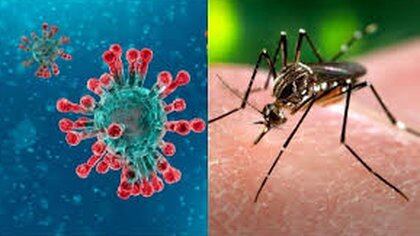 La sindemia COVID-19 y dengue preocupa a los expertos sanitarios 