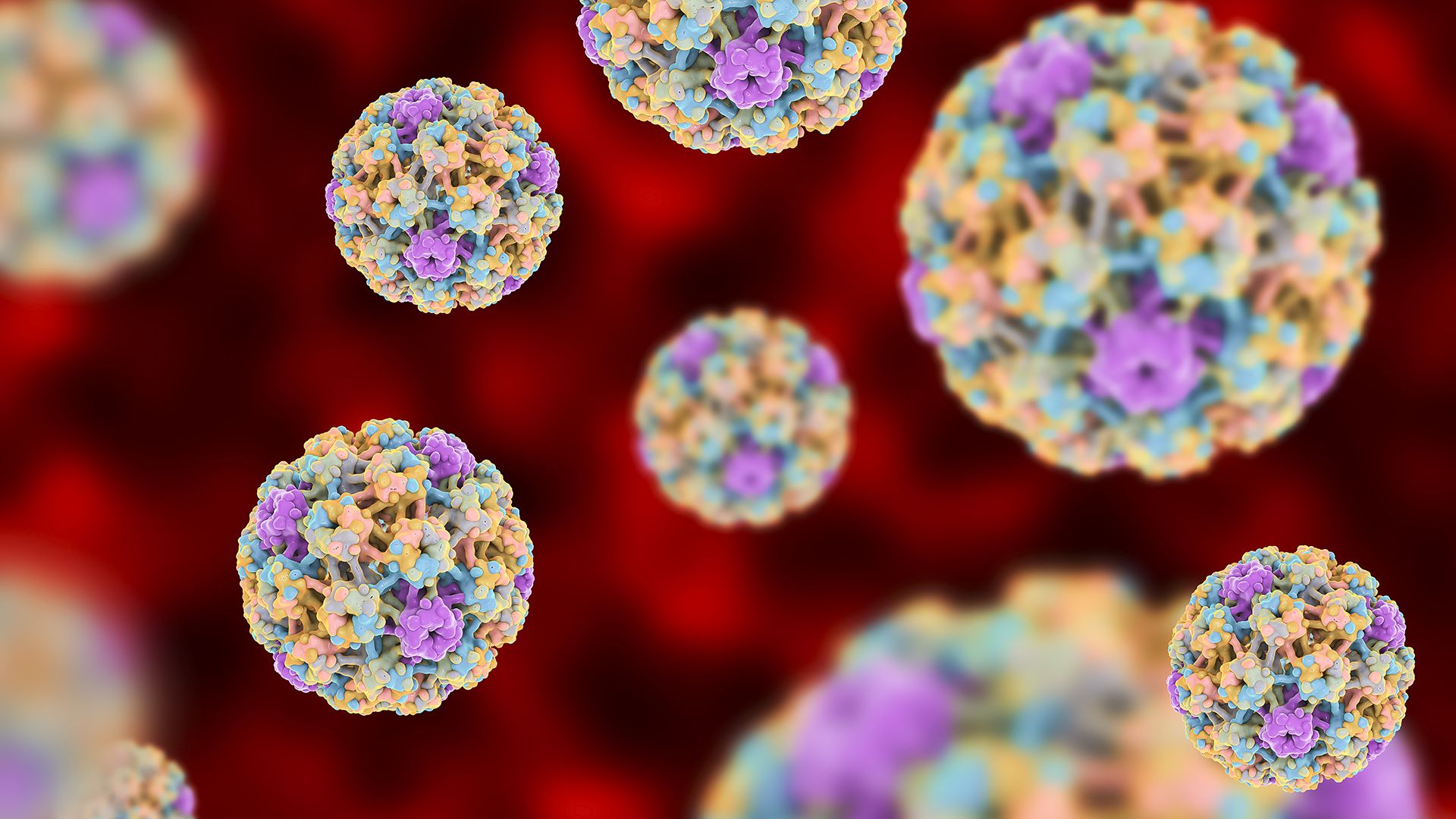 El 5% de las infecciones por VPH no desaparecen solas y se vuelven persistentes. En algunos casos pueden dar lugar a cáncer
(Getty)