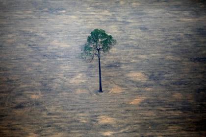 Vista aérea de un lote deforestado del Amazonas en el estado brasileño de Rondonia. FOTO DE ARCHIVO. REUTERS/Bruno Kelly