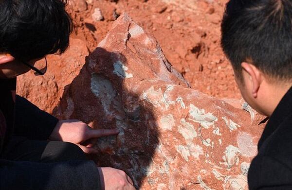 En China se han hallado numerosos restos fósiles de dinosaurios en los últimos años (Archivo)
