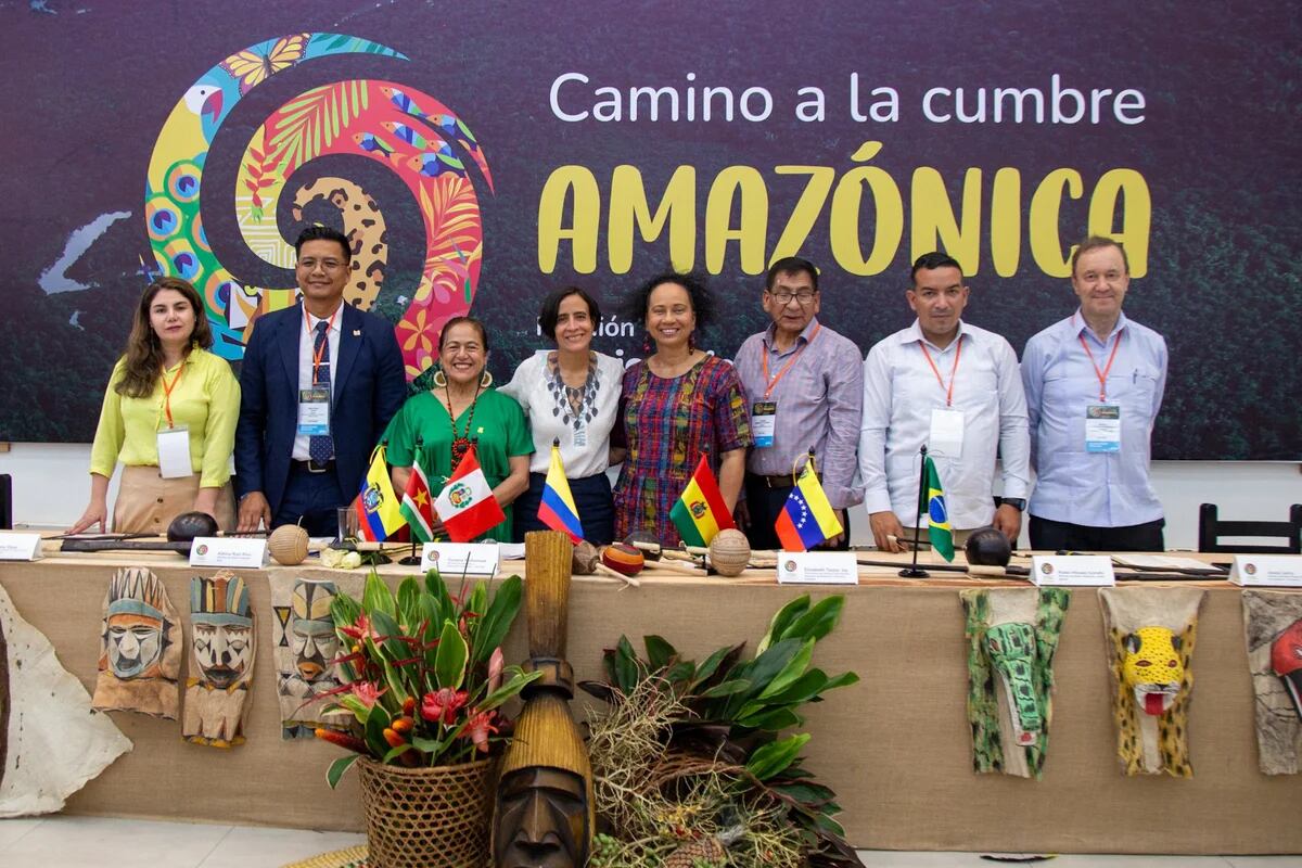 Cumbre amazónica: ocho países dan el primer paso para lograr el “Gran  acuerdo” de la Amazonía - Infobae