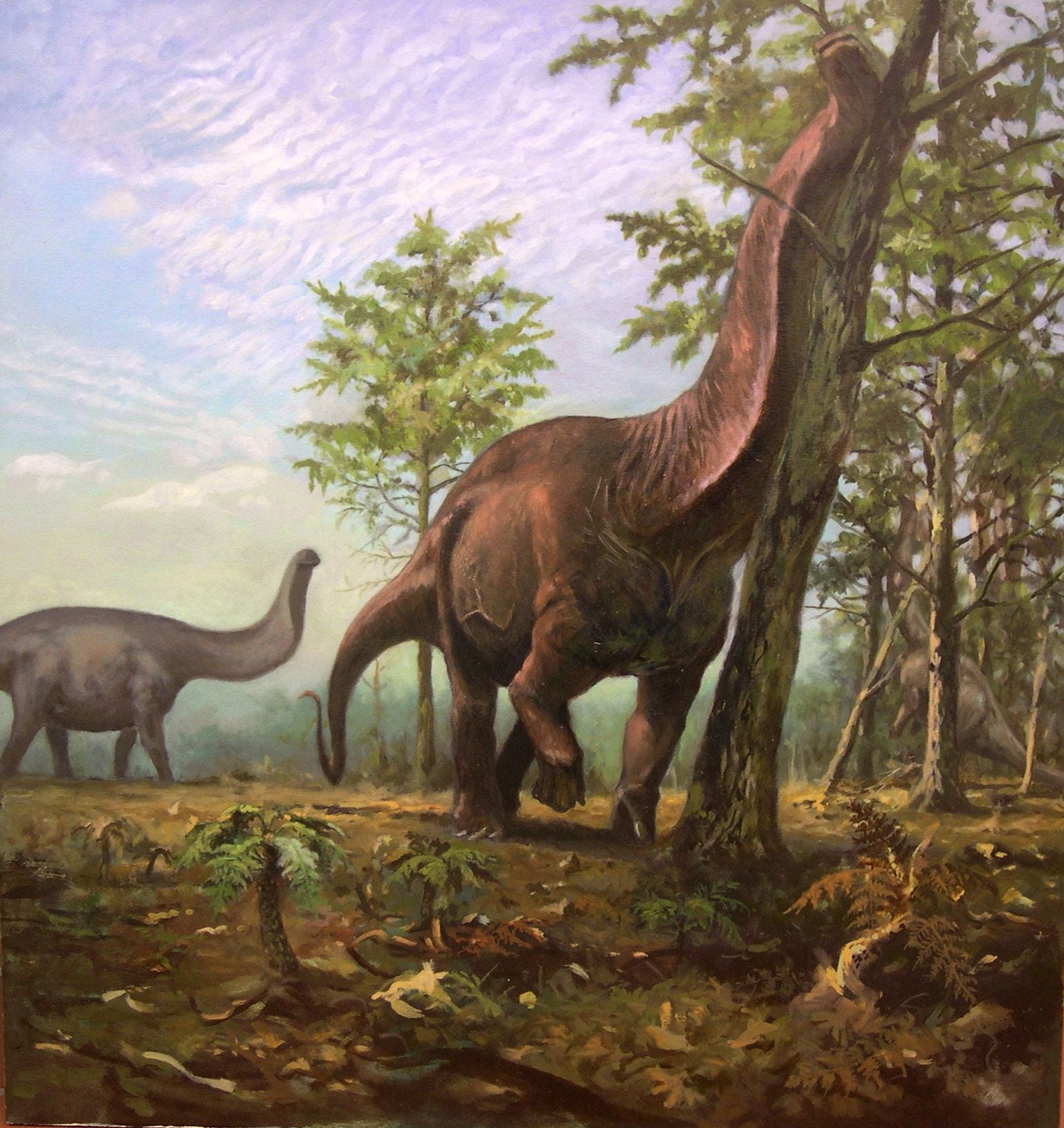 Marsh fue quien descubrió al Brontosaurio, una de las primeras especies en ser catalogadas. (EFE).
