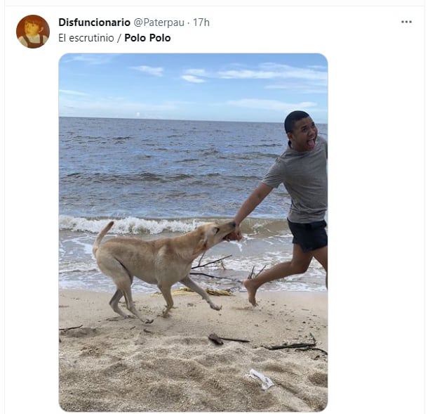The memes that mock the loss of Polo Polo's curul