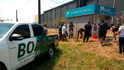 El animal fue asistido por un equipo de la Brigada Operativa Ambiental (BOA)(@Nora Cano)