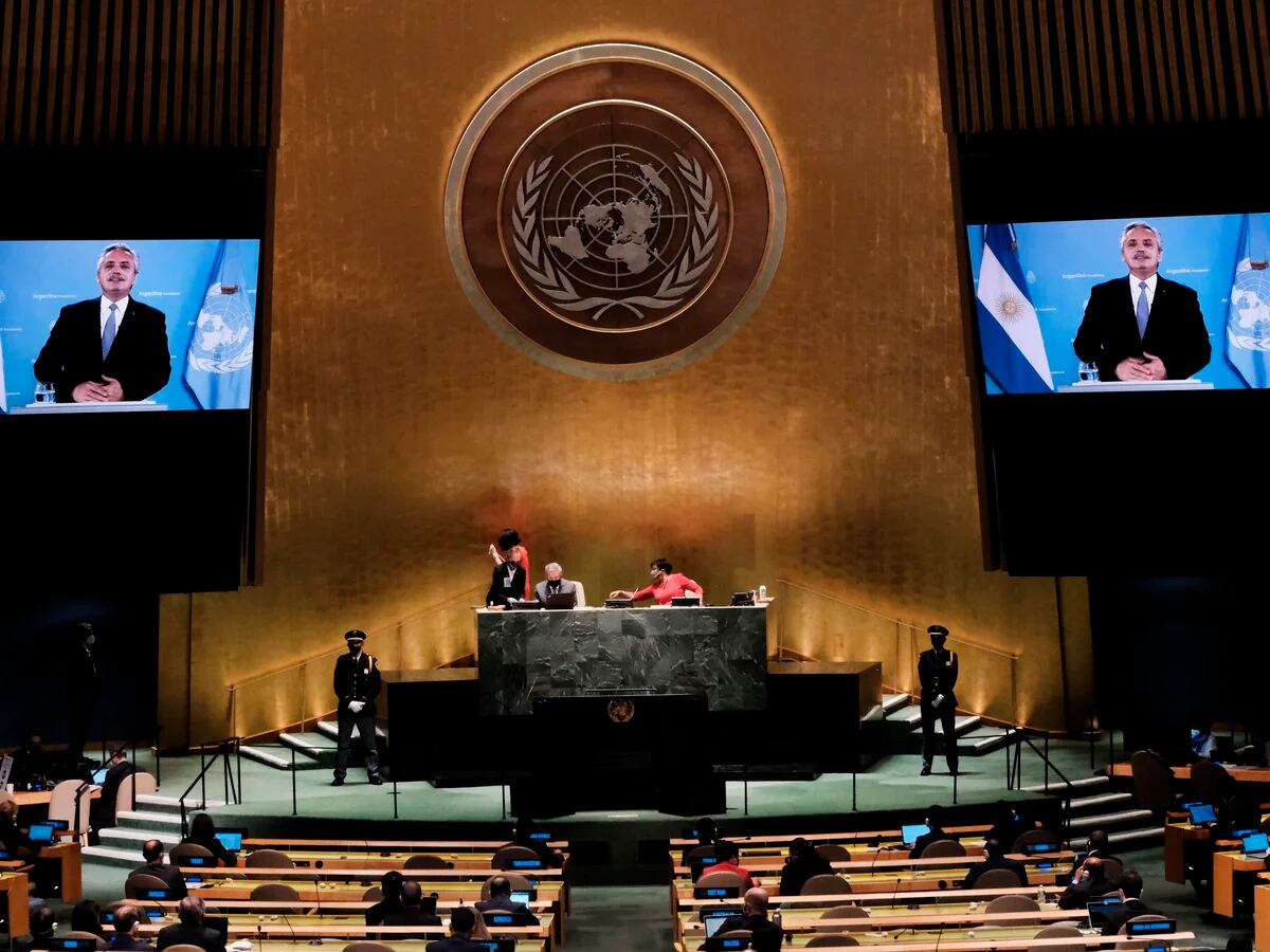 De nuevo sin nombrar a Rusia en el conflicto con Ucrania, Argentina pidi  en la ONU el respeto a la soberana de los estados - Infobae