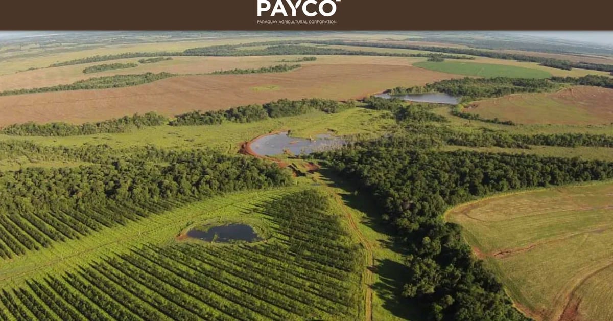 Oferta de 500 milhões de dólares por megaempresa agrícola desperta intriga no Paraguai
