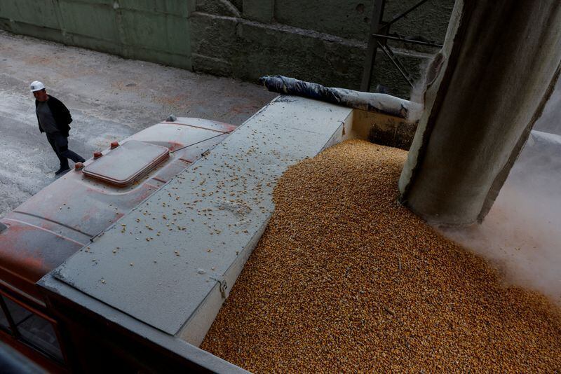 Ucrania pidió ayuda a los países europeos para incrementar sus capacidades de exportación de cereal