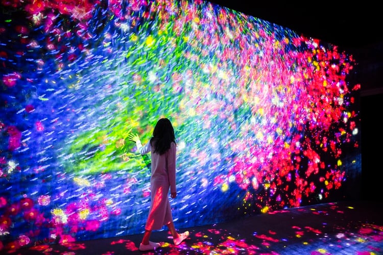 The Way of the Sea, Flying Beyond Borders – Colors of Life (teamlab Borderless)