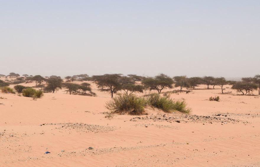 El Sahara es el desierto cálido más grande del mundo y el tercero más grande después de la Antártida y el Ártico