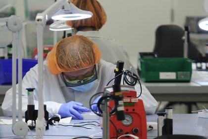 Una científica trabaja en un kit diagnóstico contra COVID-19 en un laboratorio ubicado en San Jose, California (REUTERS/Nathan Frandino)