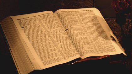 "Fui sancionado por haber trabajado con un libro que es un pilar de nuestra civilización", dice el maestro que analizó literaria e históricamente extractos de la Biblia con sus alumnos