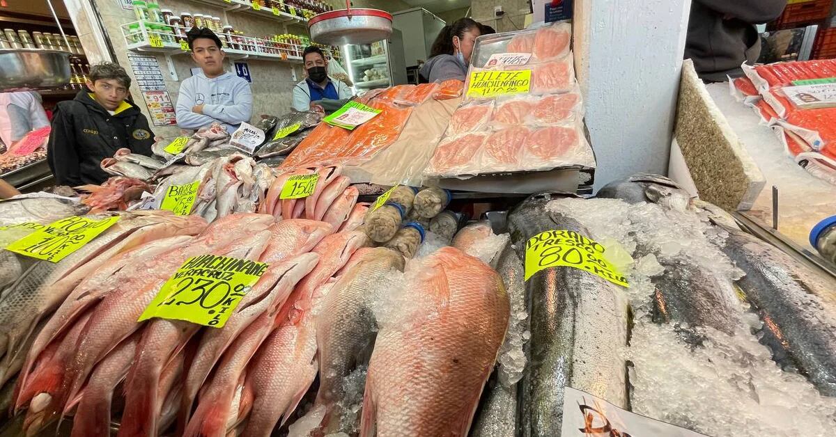 Profeco has launched Operation Lent 2023, what are the types of fish up to 30 pesos per kilo